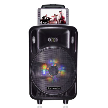 Good Sound 200W Bluetooth Karaoke Battery Speaker